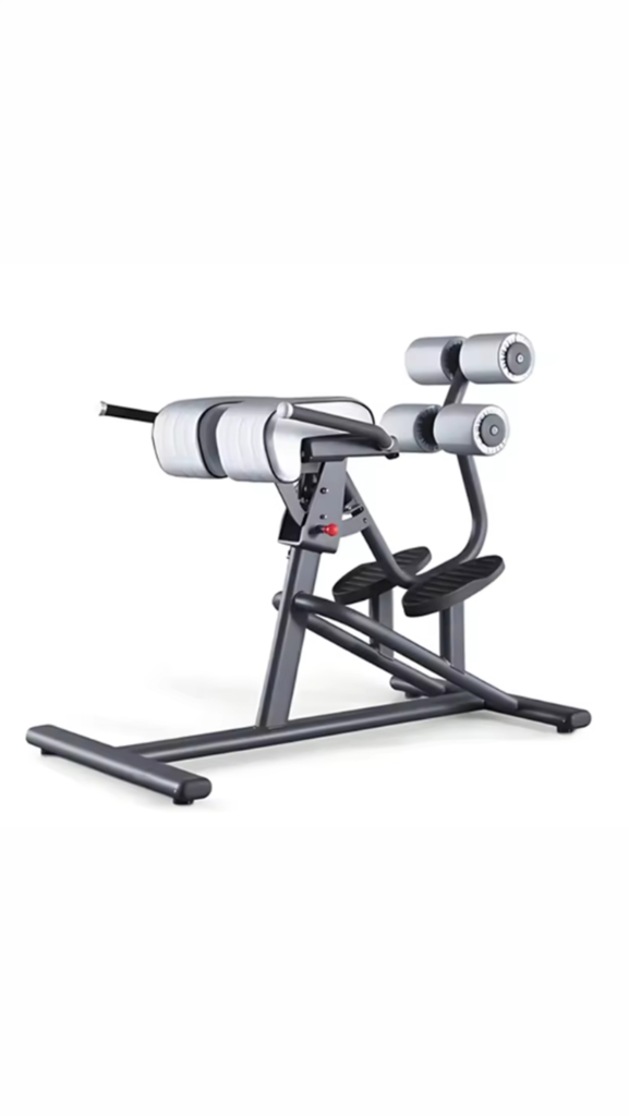 ベストシェイプマシン入替増設　清武店 バックエクステンション